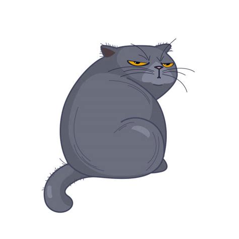 Angry Cat Illustrations Royalty Free Vector Graphics And Clip Art Istock