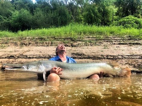 He taught me how to tie and bait a want to know why they call them alligator gars and why i'm lucky that all i lost was a piece of. 2 Day Alligator Gar Fishing Trip For 2 On The Trinity River