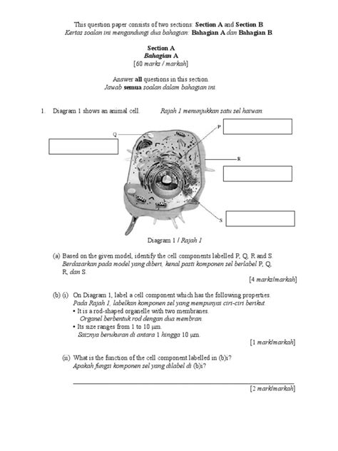 Soalan peperiksaan pertengahan tahun matematik kertas 1 tingkatan 4 (1). peperiksaan pertengahan tahun Biology Tingkatan 4 kertas 2