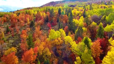 Breathtaking drone footage captures fall foliage in Utah - ABC7 New York