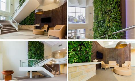 So What Is Biophilic Healthcare Design And Do You Need It Evoke Projects