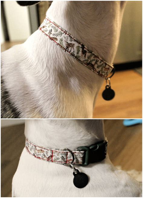 How To Make A Dog Collar 15 Diy Dog Collar Ideas