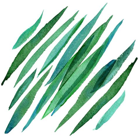 Watercolor Hand Painted Green Grass Stock Illustration Illustration