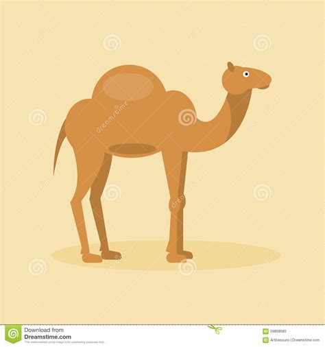 Arabian Camel Dromedary Vector Flat Isolated Illustration