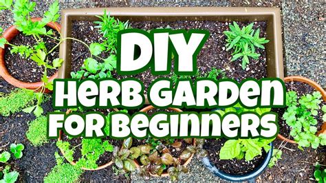 Diy Herb Garden For Beginners Diy Kitchen Herb Garden Youtube