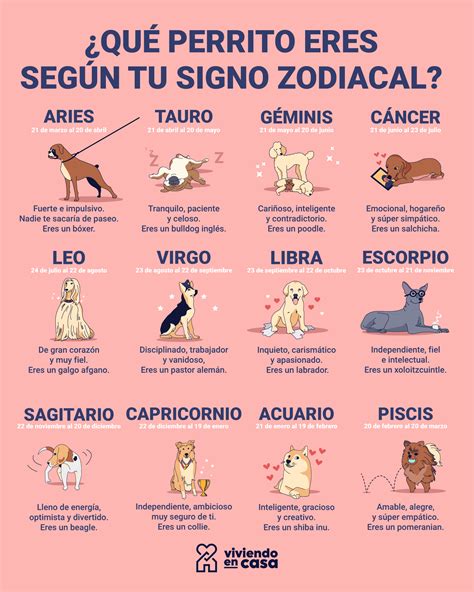 ¿qué Perrito Eres Según Tu Signo Zodiacal Consejos Para Mascotas