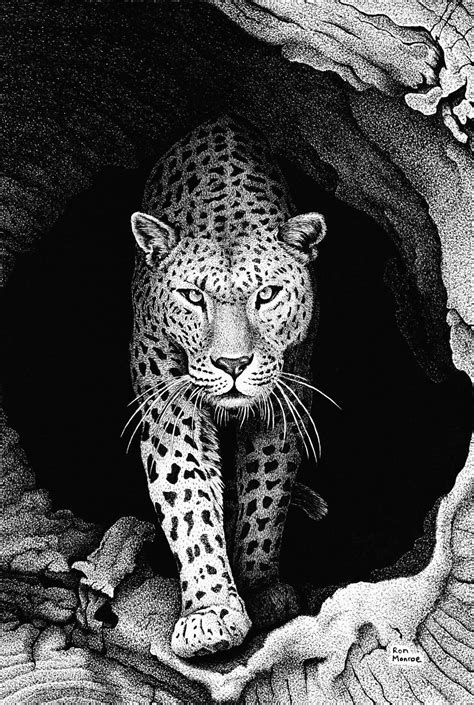 Leopard In A Log By Ronmonroe Leopard Sketch Leopard Drawing Tiger
