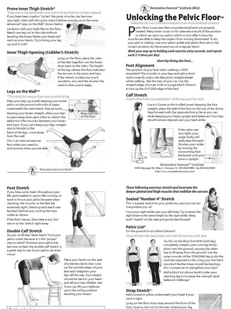 Pelvic Floor Handout Pelvis Hip