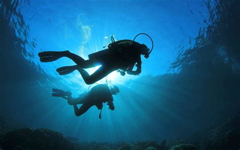 Deep Sea Diving Exploring The Wonders Of The Ocean Rijals Blog
