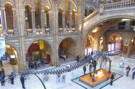 Natural History Museum In London A Prestigious Museum In South Kensington Go Guides