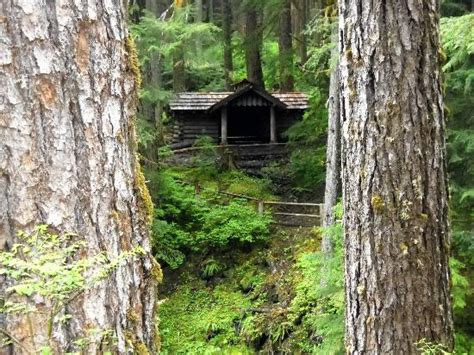 Maybe you would like to learn more about one of these? Mossy dirty rotting bench table - Picture of Sol Duc Hot ...