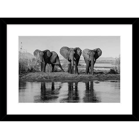 Roger Hooper Three Elephants Framed Print 44 X 59cm