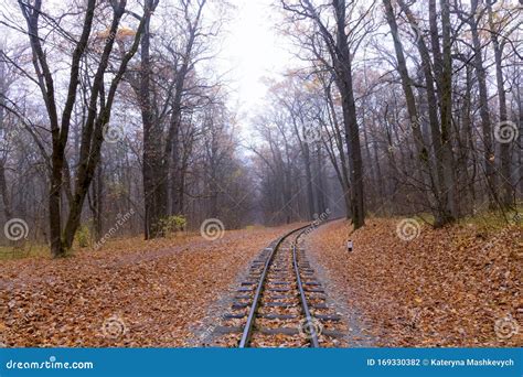 Railroad Single Track Through The Woods In Autumn Fall Landscape