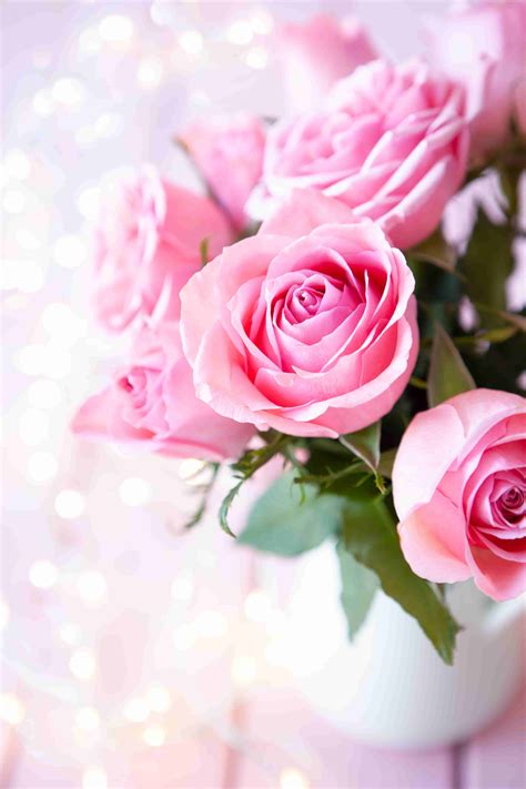 Beautiful Flower Garden Hd Images Home Alqu Pink Flowers Wallpaper Love Rose Flower Rose