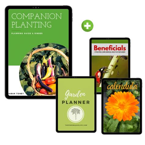 The Companion Planting Guide & Binder | The Free Range Life | Companion ...