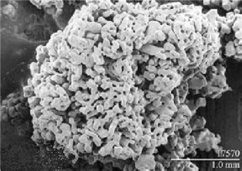Graupel Particle As Observed By A Low Temperature Scanning Electron