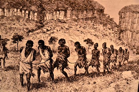 It is said the first known slaves lived more than five thousand years ago in the sumerian society of what is now iraq. Slaves in chains being taken to be transported to the Cari ...