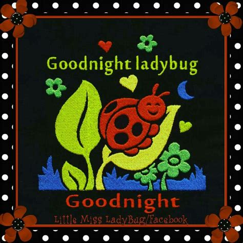 Goodnight ladybug Goodnight | Ladybug, Good night, Little miss