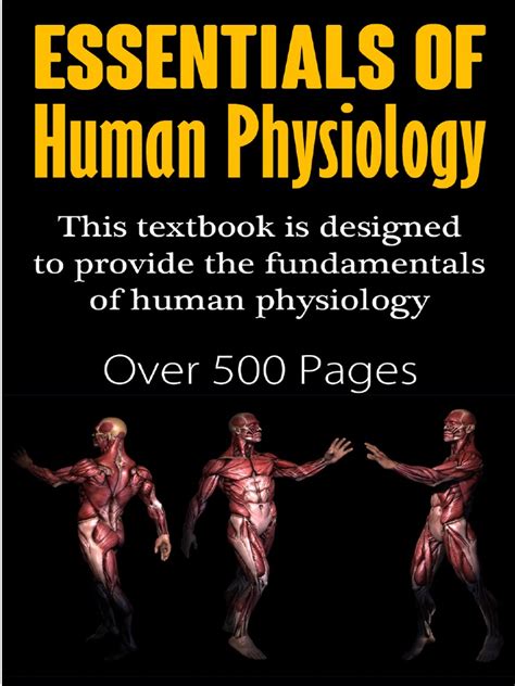 Essentials Of Human Physiology Pdf Homeostasis Respiratory Tract