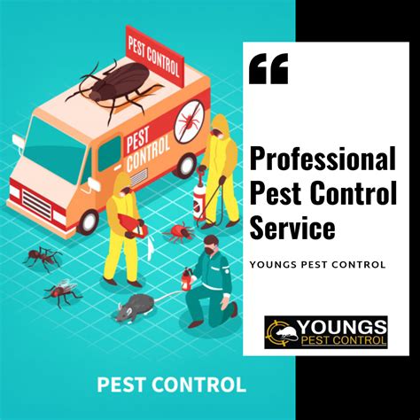 To Remain Pest Free In Life It Is Good To Hire An Expert For