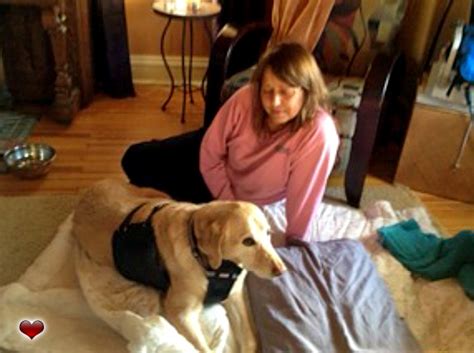 Our cat, lucky, suddenly got very ill on the friday before. Home Pet Euthanasia Colorado, One Last Gift