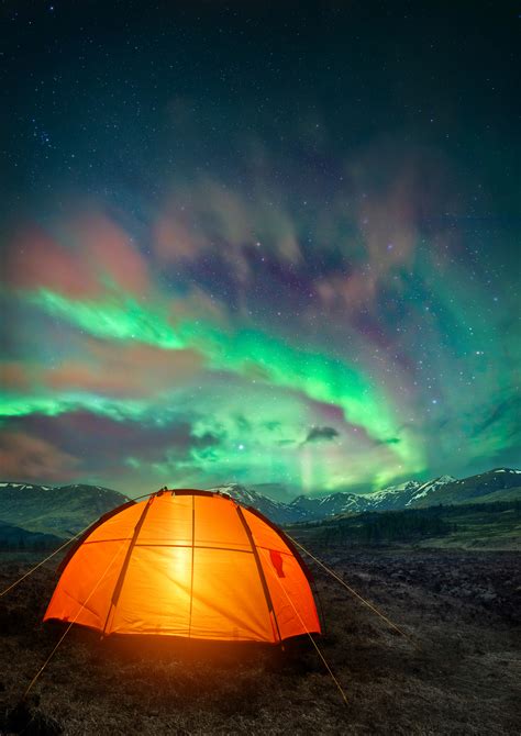 How To See The Northern Lights In Denali National Park Denali Totem