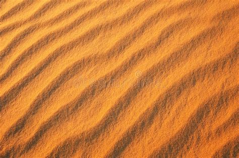 Desert Sand Background Stock Photo Image Of Space Golden 51808696