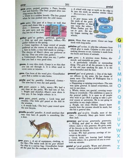 Giant All Colour Dictionary Stuart Courtis Garnette Watters
