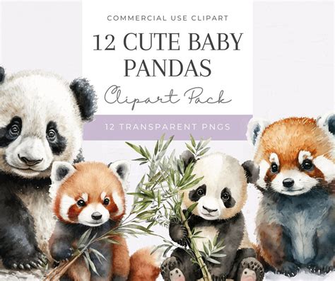 Watercolor Cute Baby Pandas Clipart Pack Clipart For Etsy