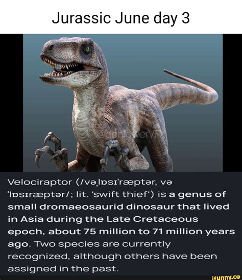Jurassic June Day 3 Velociraptor Valosireepter Va Lostreepter