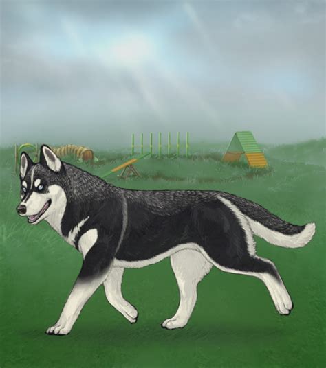 Check Out The Custom Husky Pair Contest At Alacrity Sim Forums Dog