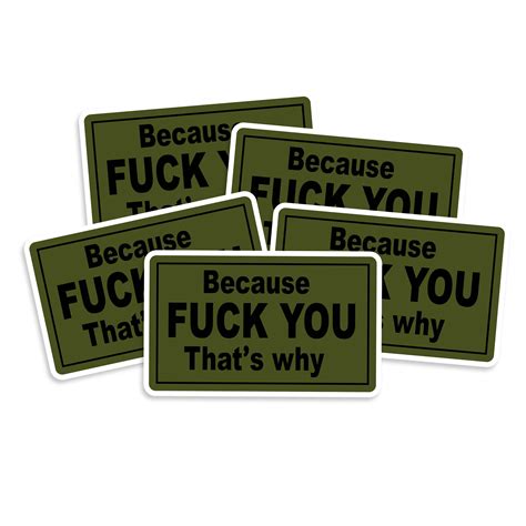 because fuck you that s why vinyl sticker multi packs etsy