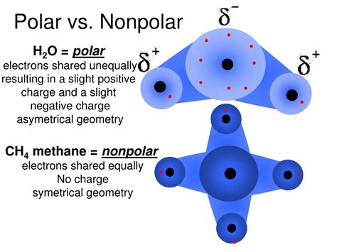 PPT Objectives To Understand The Difference Between A Solvent And Solute PowerPoint