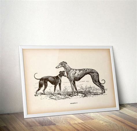 8x10 Vintage Print 11x14 Antique Dog Print Digital Download Print