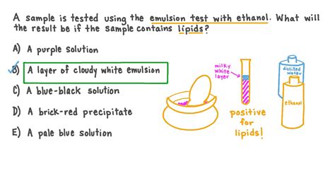 Question Video Recalling The Result Of A Postive Emulsion Test With