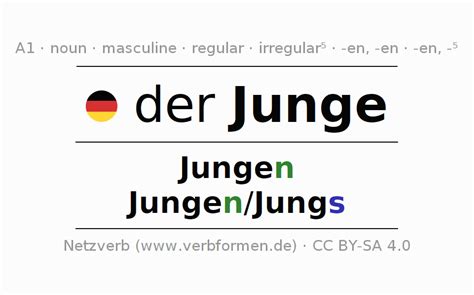 Declension German Junge All Cases Of The Noun Plural Article Netzverb Dictionary