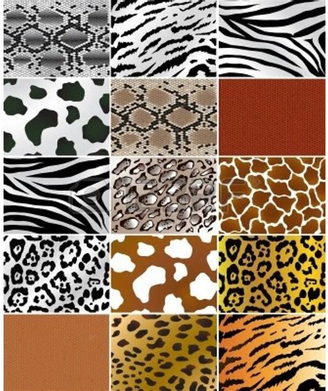 Animal prints and skins are widely believed to convey power to the wearer. Animal Prints - From Retro till Date, A Never-Fading ...