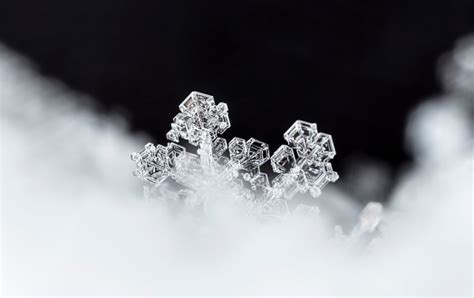 Natural Snowflakes On Snow Stock Photo Download Image Now Istock