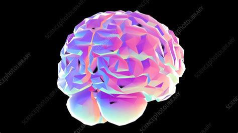 Rotating Brain Animation Stock Video Clip K0087607 Science Photo