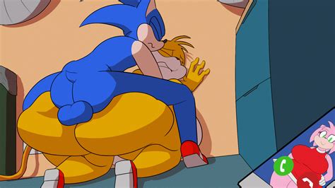 Plagalurks Amy Rose Sonic The Hedgehog Tails Sonic Sega Sonic Series Sonic Team Sonic