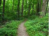 Pictures of Hiking Trails In The Smoky Mountains