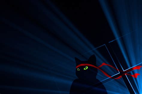 Microsoft Celebrates Windows 10 Anniversary Update With New Ninja Cat