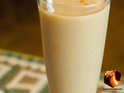 5 Healthy And Nutritious Camel Milk Smoothie Recipes For A Refreshing Drink