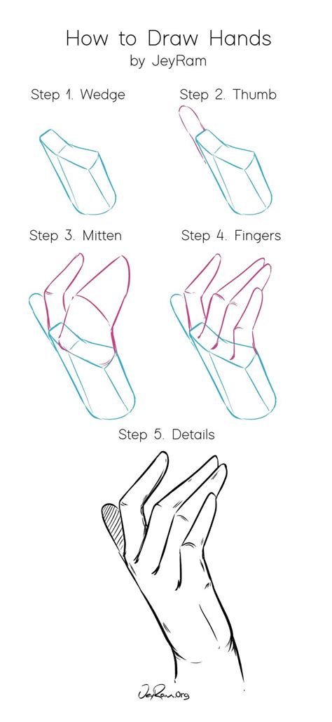 How To Draw Hands Step By Step Tutorial For Beginners Hand Anatomy