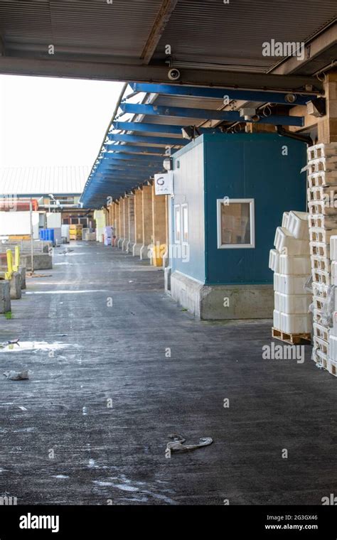 Grimsby Fish Market Grimsby Docks Uk Fishing Stock Photo Alamy