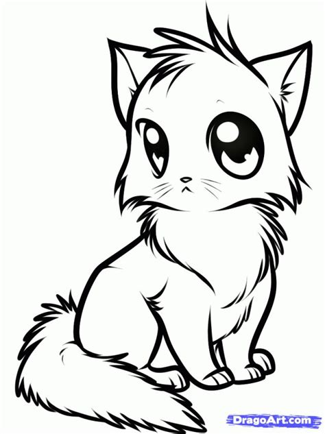 Anime Cats Coloring Pages At Getdrawings Free Download
