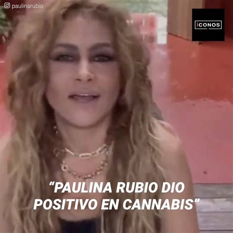 El Inesperado Giro En El Caso De Custodia De Paulina Rubio