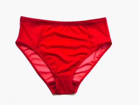 High Cut Panties In Red Sheer Mesh Womens Lingerie Romantic Etsy
