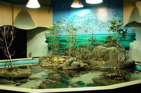 Terrarium tank aquarium terrarium planted aquarium saltwater aquarium aquarium fish tank freshwater aquarium aquascaping unique fish tanks 5 cool fish tank themes that will inspire you. Unique Aquarium Decorations | Aquarium design, Aquarium, Oklahoma aquarium