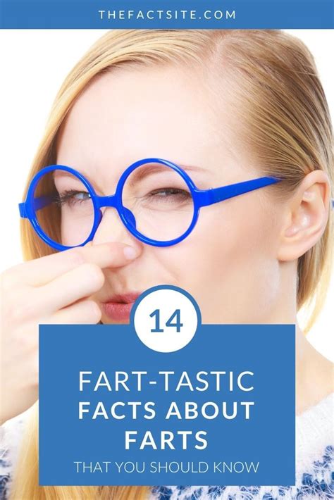 14 Fart Tastic Facts About Farts That You Should Know The Fact Site